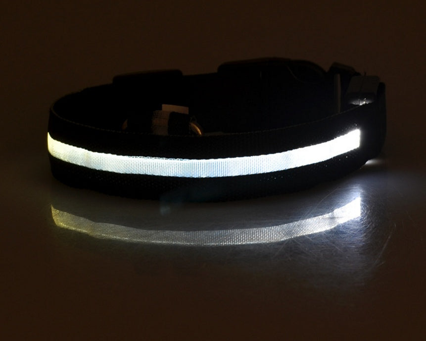 Light-Up Dog Collar – Safe, Stylish & Adjustable!