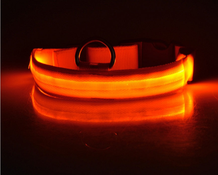 Light-Up Dog Collar – Safe, Stylish & Adjustable!