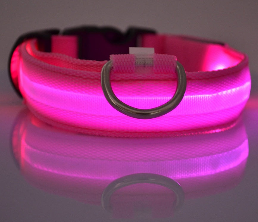 Light-Up Dog Collar – Safe, Stylish & Adjustable!