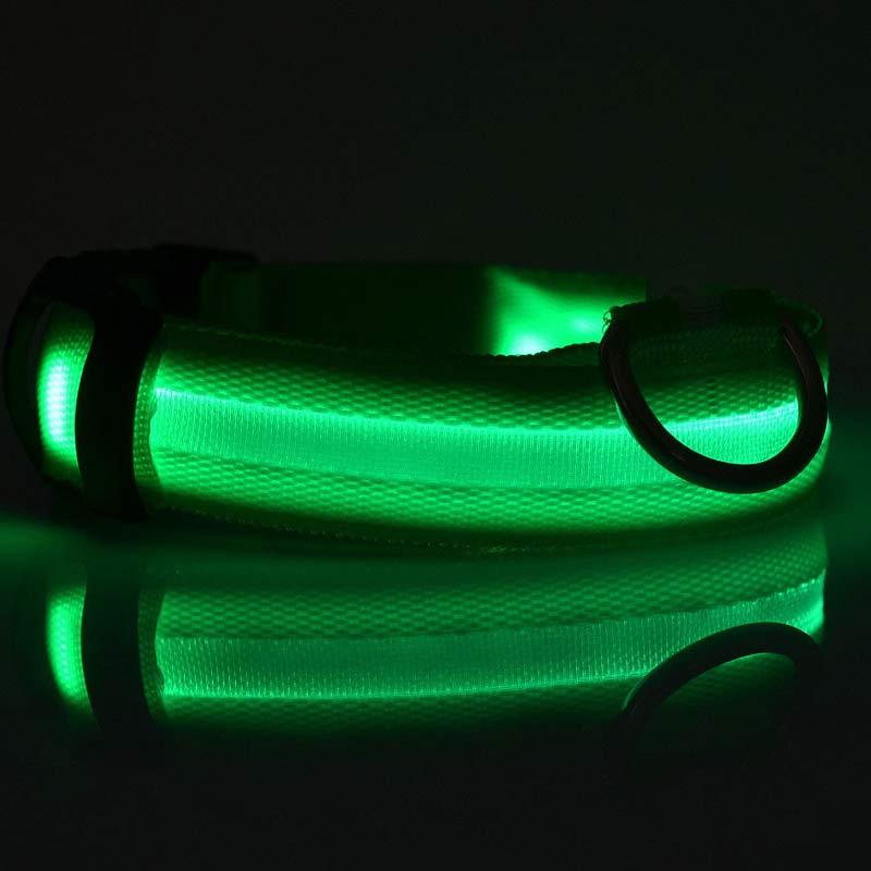 Light-Up Dog Collar – Safe, Stylish & Adjustable!