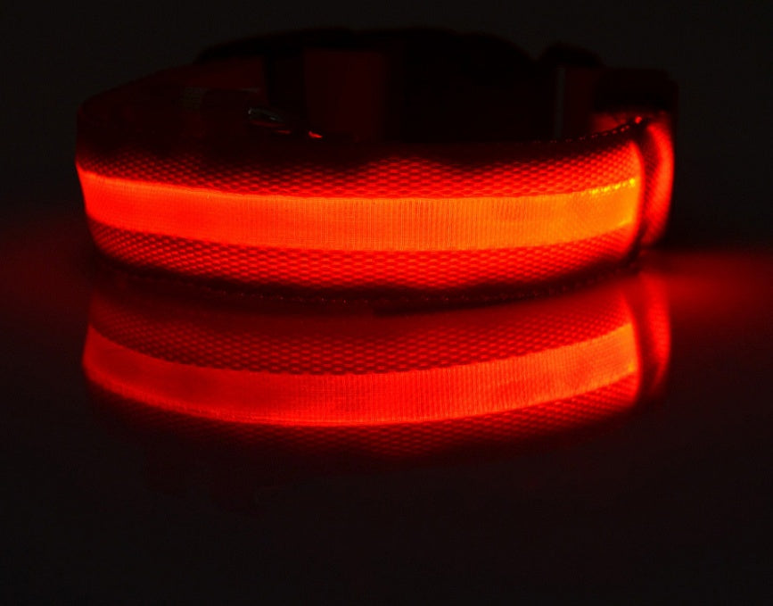 Light-Up Dog Collar – Safe, Stylish & Adjustable!