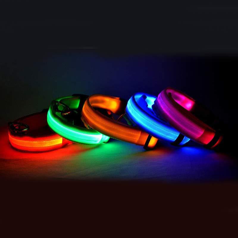 Light-Up Dog Collar – Safe, Stylish & Adjustable!