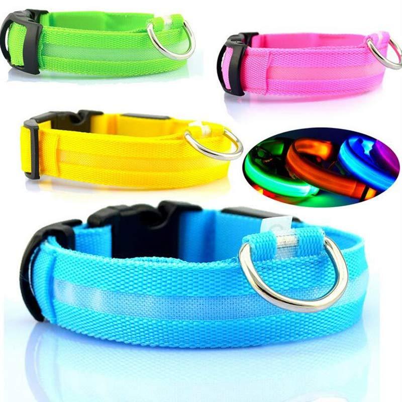 Light-Up Dog Collar – Safe, Stylish & Adjustable!