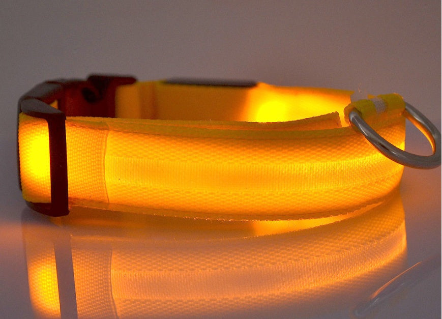 Light-Up Dog Collar – Safe, Stylish & Adjustable!