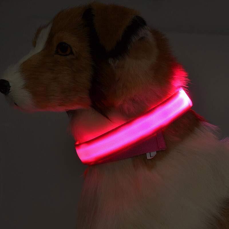 Light-Up Dog Collar – Safe, Stylish & Adjustable!