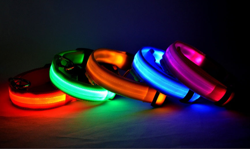 Light-Up Dog Collar – Safe, Stylish & Adjustable!