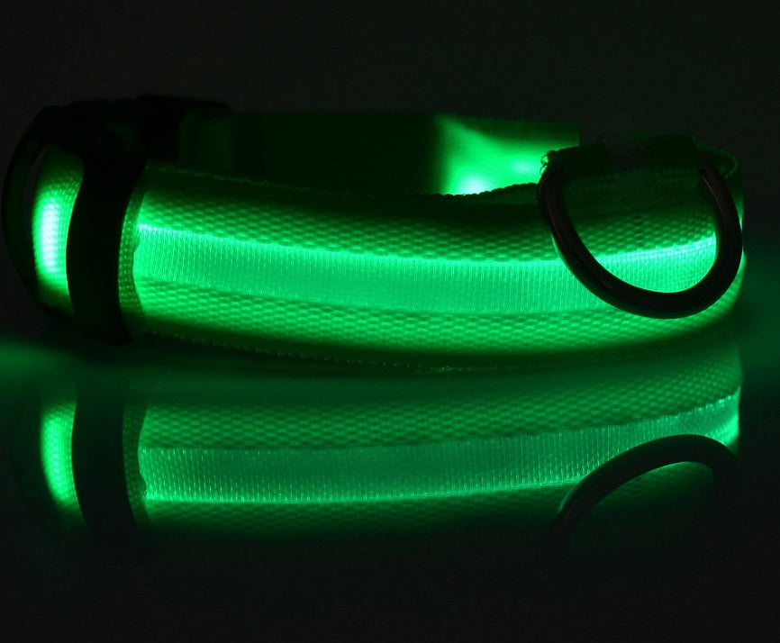 Light-Up Dog Collar – Safe, Stylish & Adjustable!