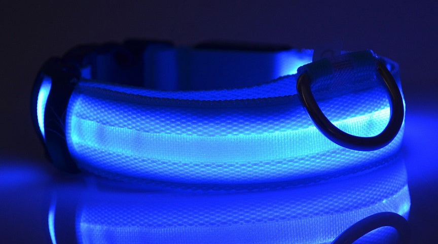 Light-Up Dog Collar – Safe, Stylish & Adjustable!