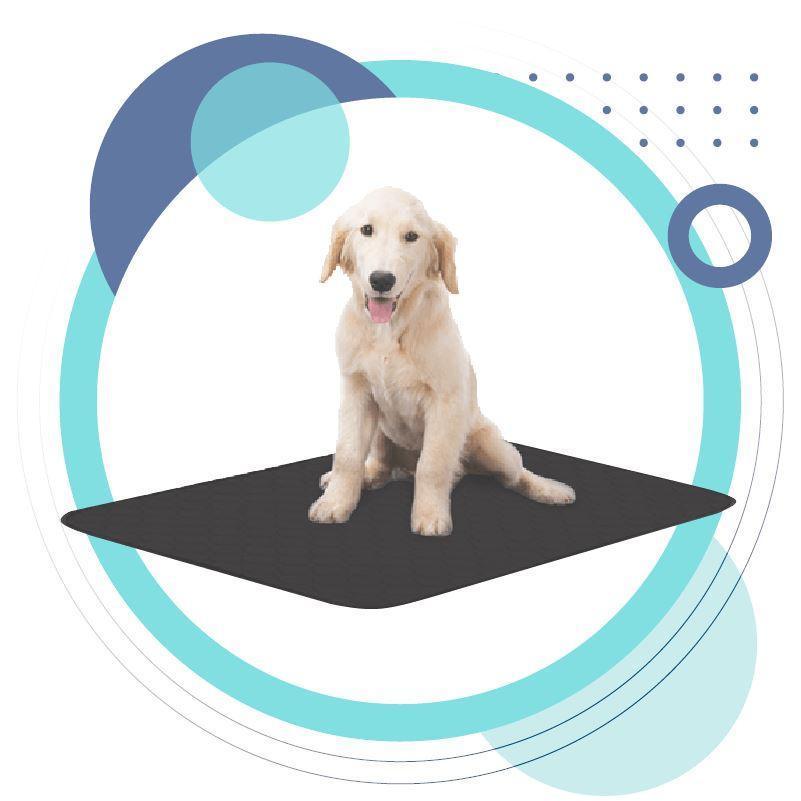 Grounding Mat for Pets – Calm, Cozy, Natural Comfort