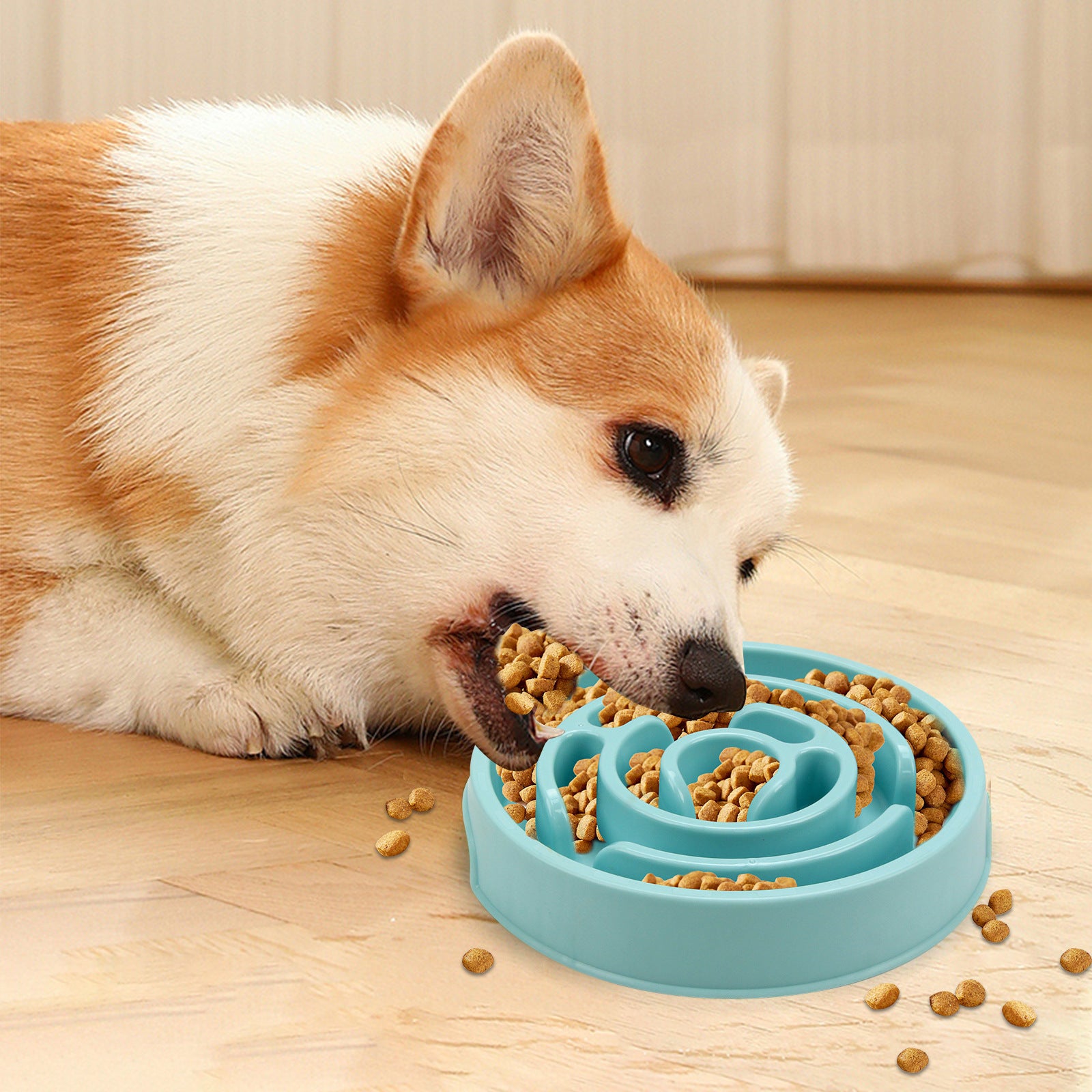 Slow Feeder Dog Bowl – Fun, Healthy Mealtime Made Easy!