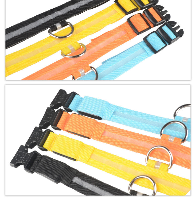 Light-Up Dog Collar – Safe, Stylish & Adjustable!