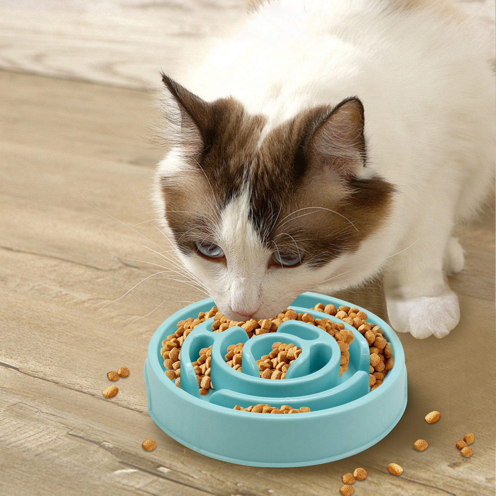 Slow Feeder Dog Bowl – Fun, Healthy Mealtime Made Easy!